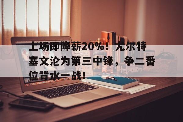 澳客体育官网-上场即降薪20%！尤尔特塞文沦为第三中锋，争二番位背水一战！的简单介绍
