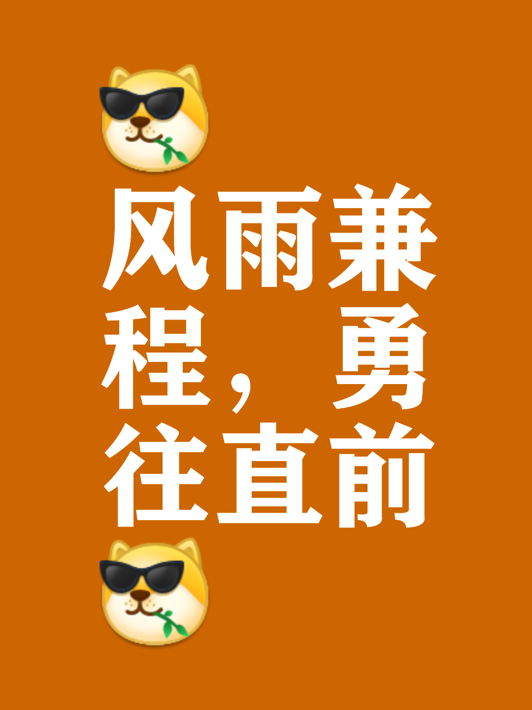 关于风雨无阻，球队前行路上崎岖的信息